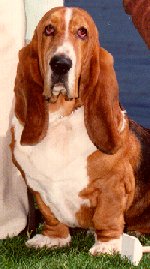 Photo of Fred's Face