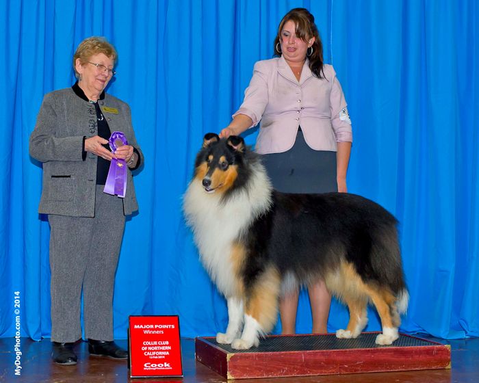 Bravo's Breaking Hearts at CCNC 2014