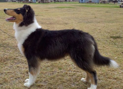 Breaker at 4.5 months