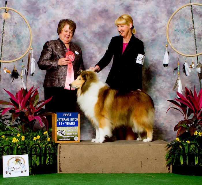 GCh. Burlywood Bounce Back at 2015 CCA