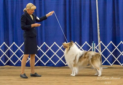Ringside candid by Karin Bennett