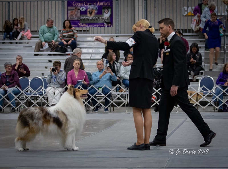 GCh Overland Ultralight at 2019 CCA