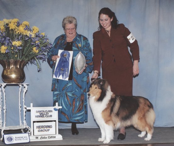 Ch. Burlywood Brand New Day