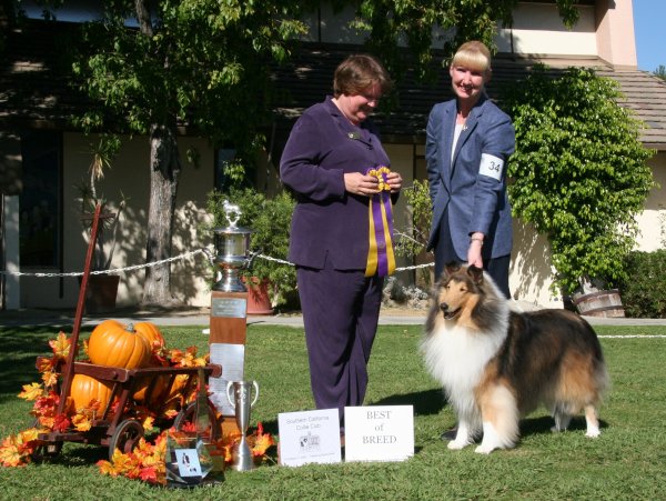 Ch. Burlywood Breakaway at SCCC