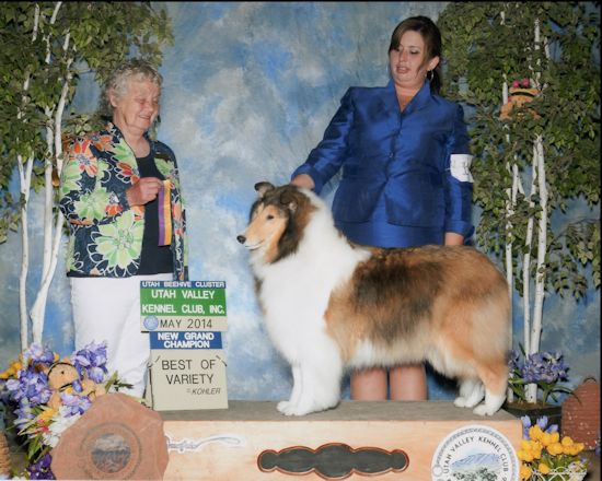 GCh Burlywood Backgammon - Best of Variety