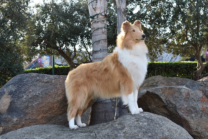 Victoria at 7 months