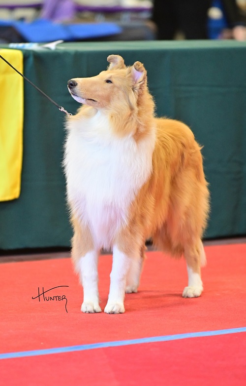 Victoria at 7 months