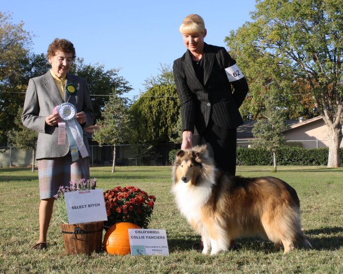 Ch. Burlywood Bounce Back at CCF