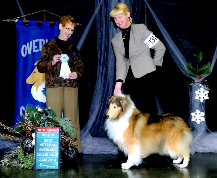 GCh. Burlywood Bounce Back at Overlake CC