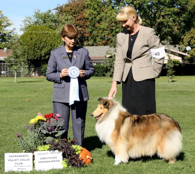 Ch. Burlywood Bounce Back at Sacramento Valley CC