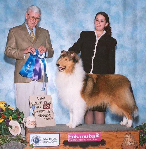 Ch. Galatean Game Time at Utah CC