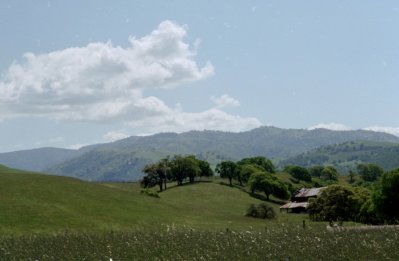 blue skies