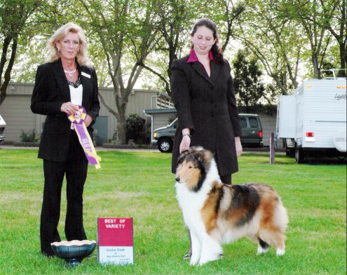 Ch. Burlywood Brand New Day at CCNC