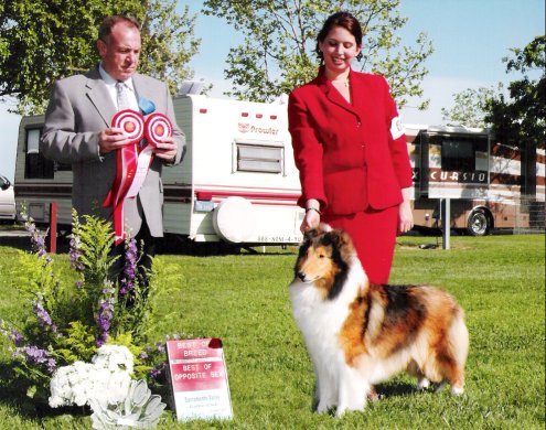 Ch. Burlywood Brand New Day at SVCC