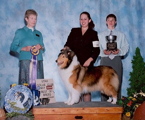 Ch. Burlywood Brand New Day at Utah CC