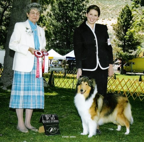 Ch. Burlywood Brand New Day at SNCC