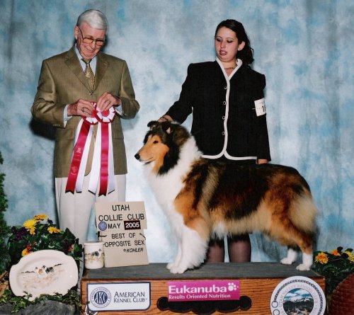 Ch. Burlywood Brand New Day at Utah CC