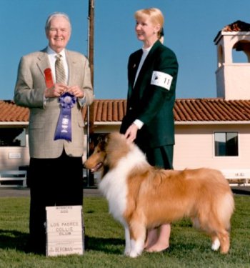 Winners Dog - Los Padres Collie Club