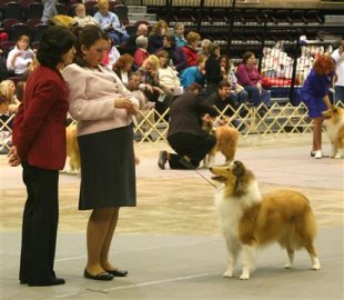 Michelle - Puppy class