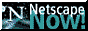 Netscape Icon