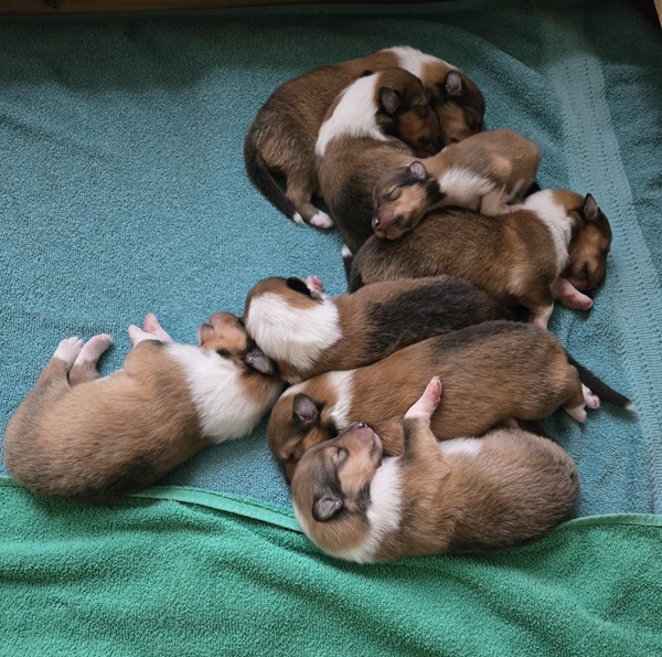 1 day old