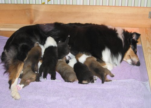 2 weeks old