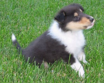 Milo