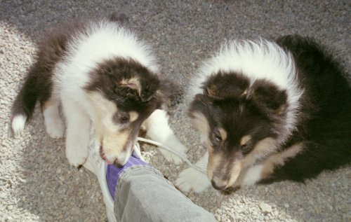 Nadia & Morris