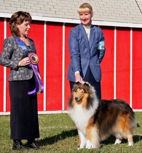 Ch. Burlywood Breakaway at SVCC