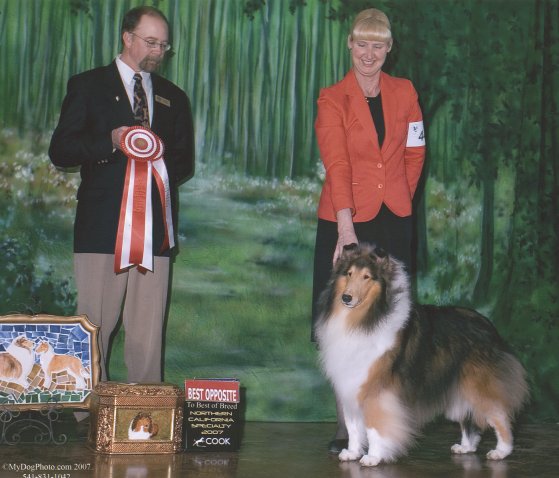 Ch. Burlywood Breakaway at CCNC