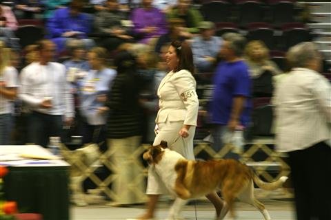 Jess & Stout winning