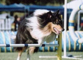 Burlywood Heaven Scent